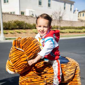 Little Kid Animal Rides